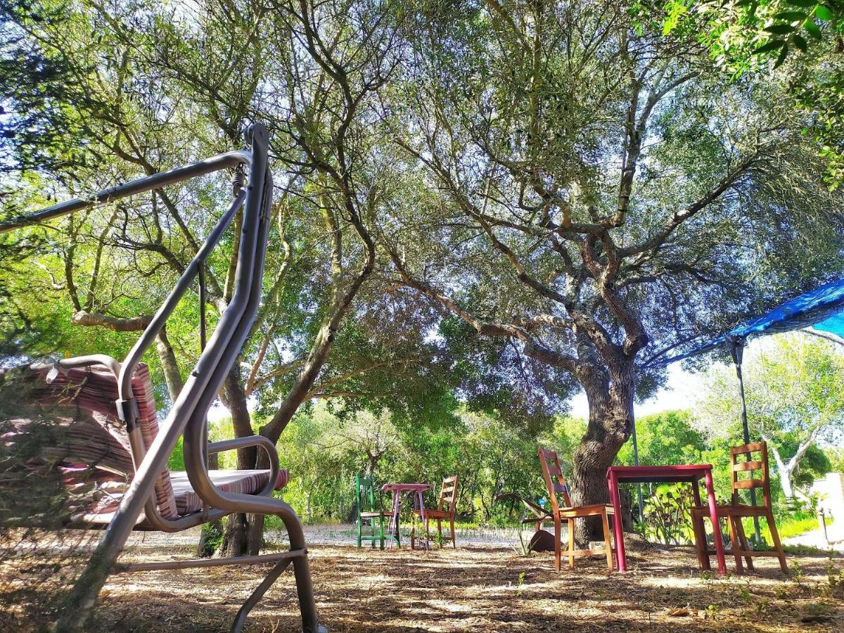 Tulpa Cadiz Campsite