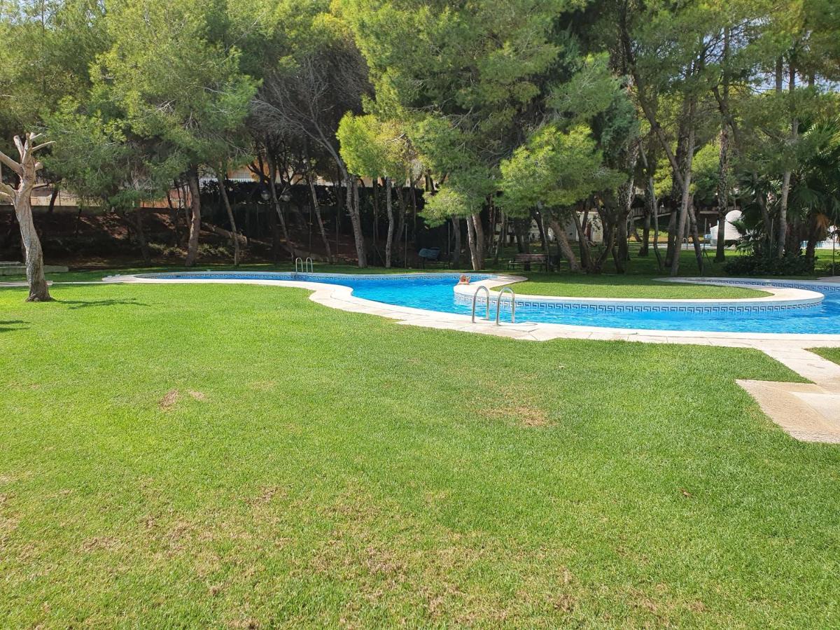 In Overlooking The Swimming Pool Apartment *