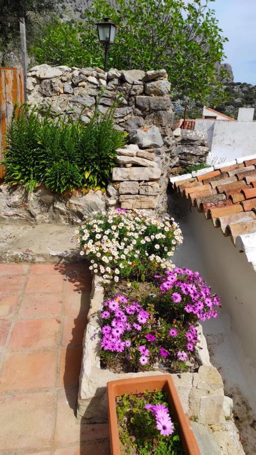 Casa Cabra Сasa de vacaciones Montejaque