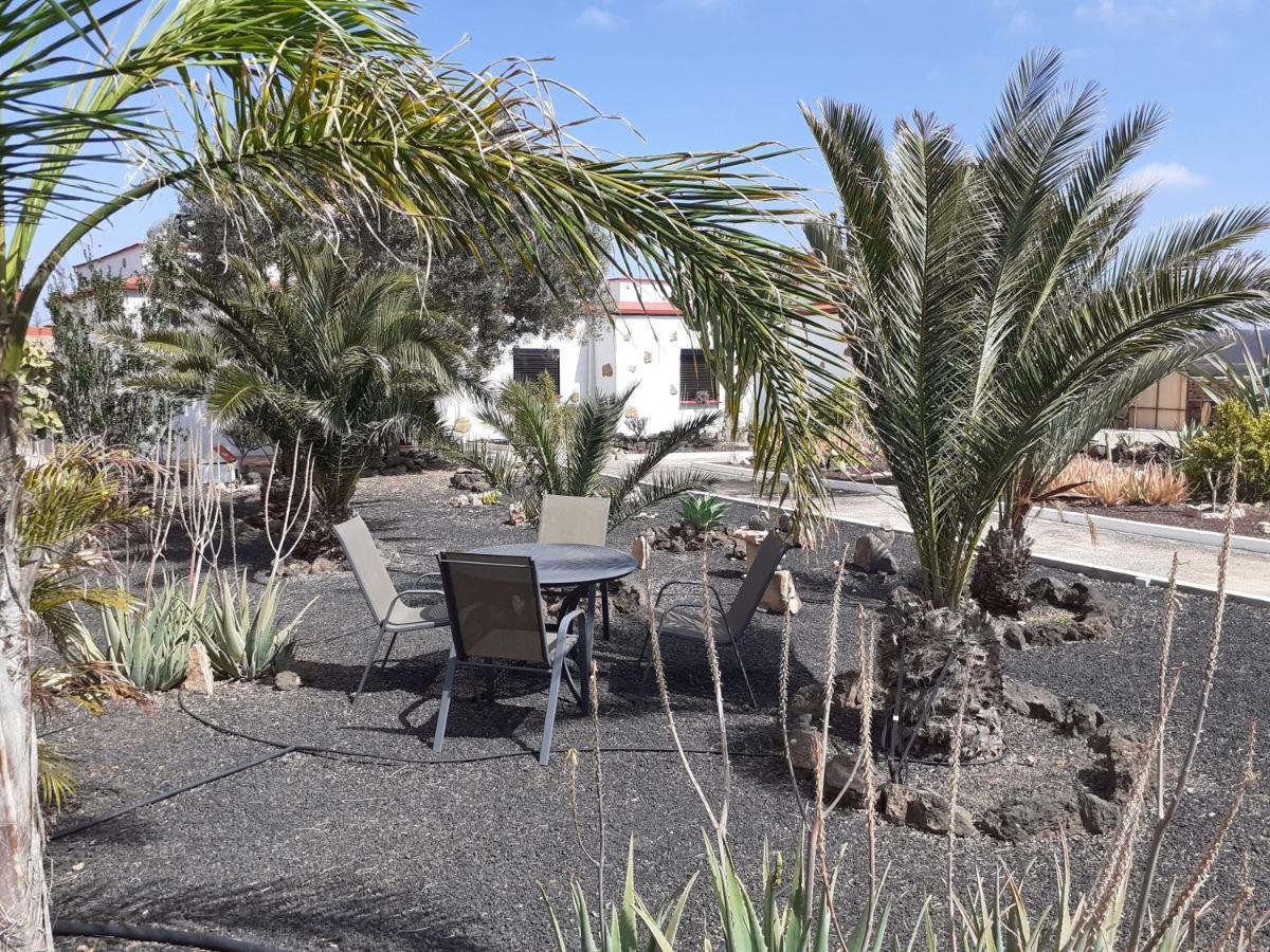 Vital Fuerteventura - Atmospheric, Small-scale, Adults Only Bed and breakfast Antigua (Fuerteventura)