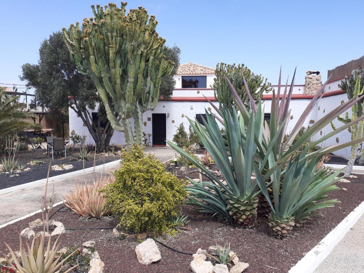 Bed and breakfast Vital Fuerteventura - Atmospheric, Small-scale, Adults Only *