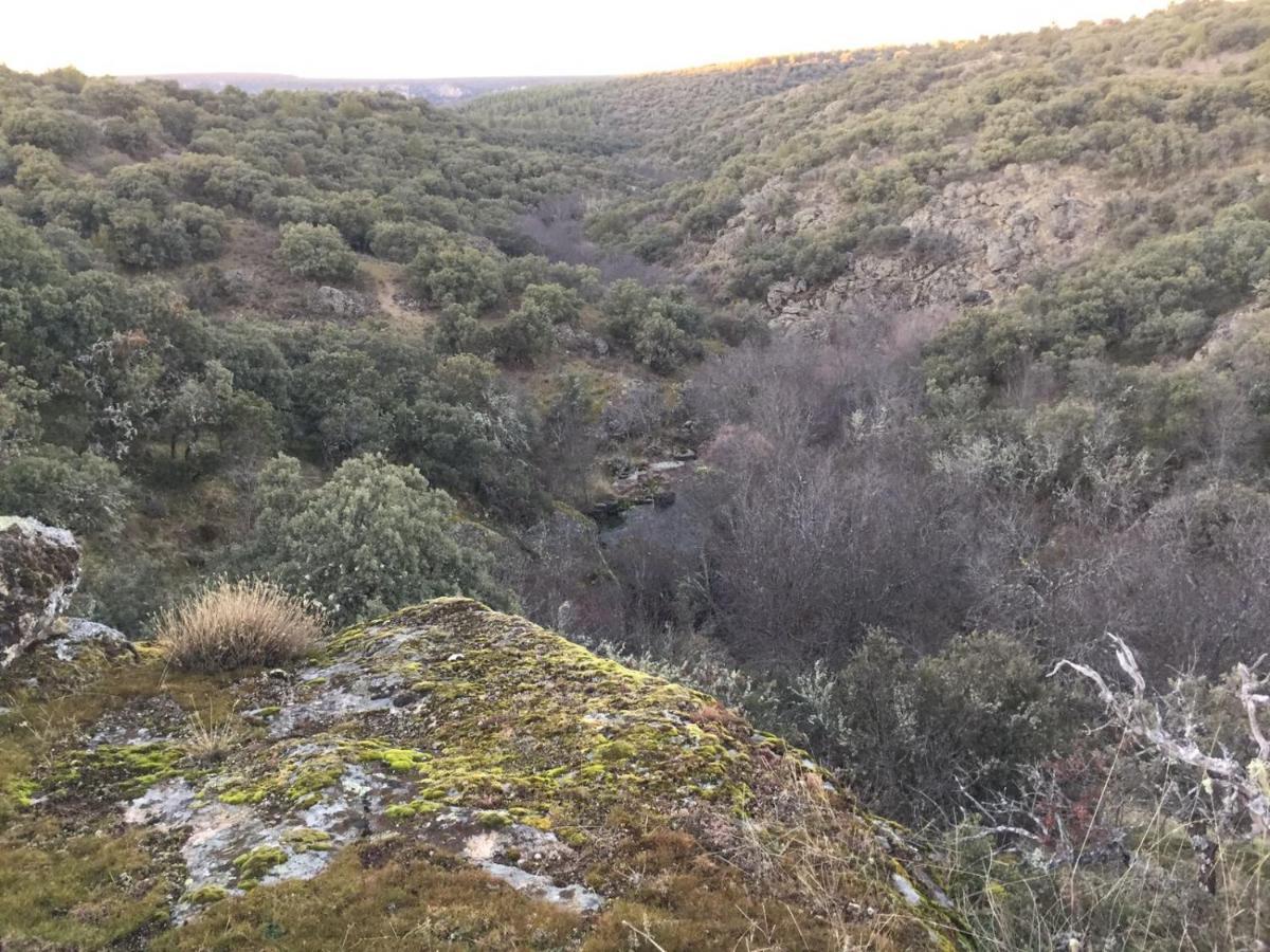 La Casona De A 6km De Pedraza Con Piscina Requijada