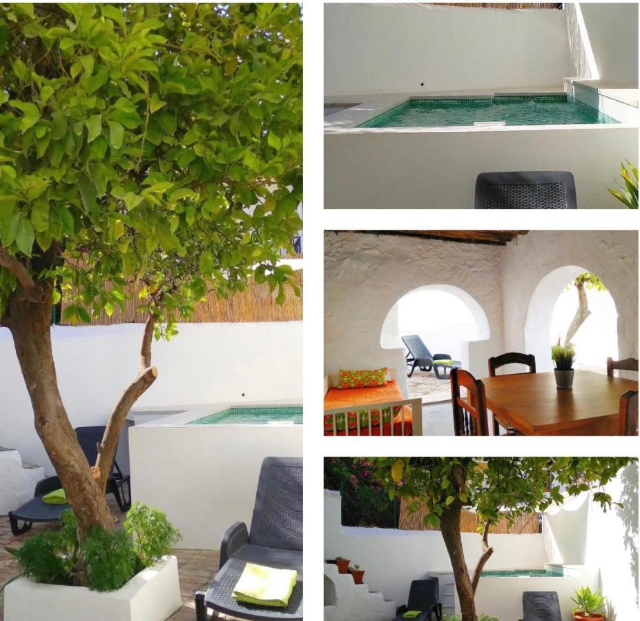 El Patio Del Limón