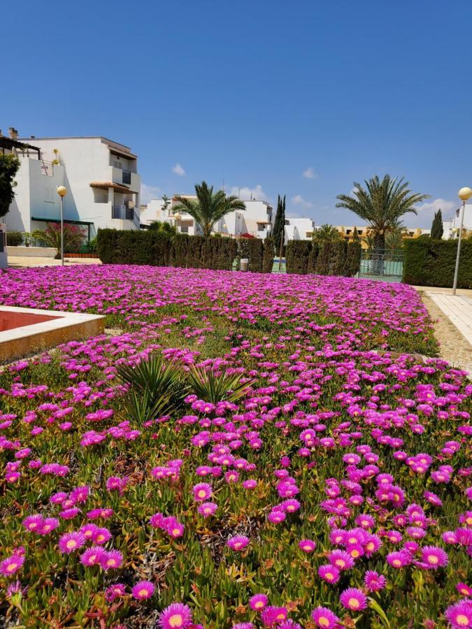 Apartamento Naturista En Primera Línea!