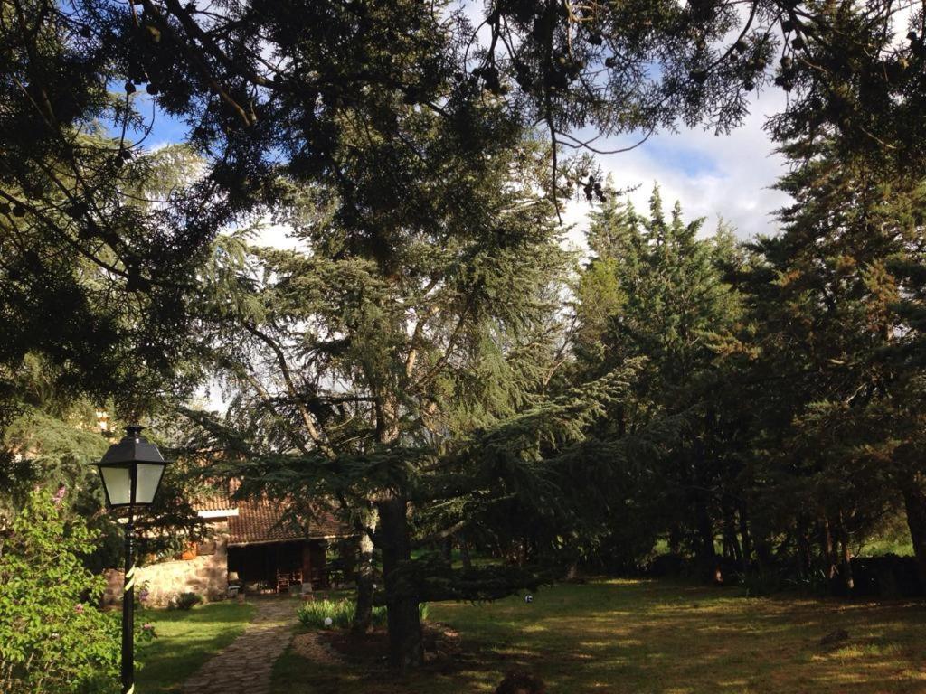 Exclusiva Casa Y Privada Itos * Pelayos del Arroyo