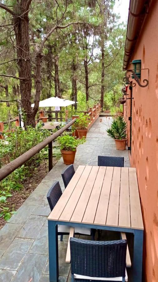 En Medio Del Bosque, El Lance Holiday home *
