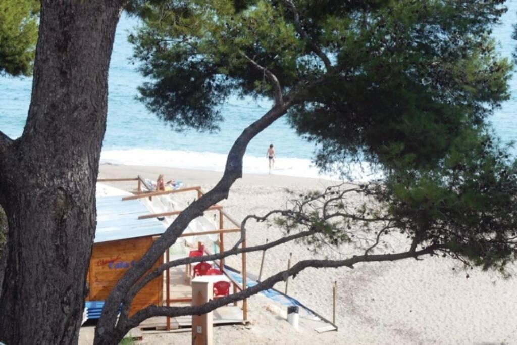 Preciosa Casa Con Piscina Al Lado De La Playa Сasa de vacaciones *