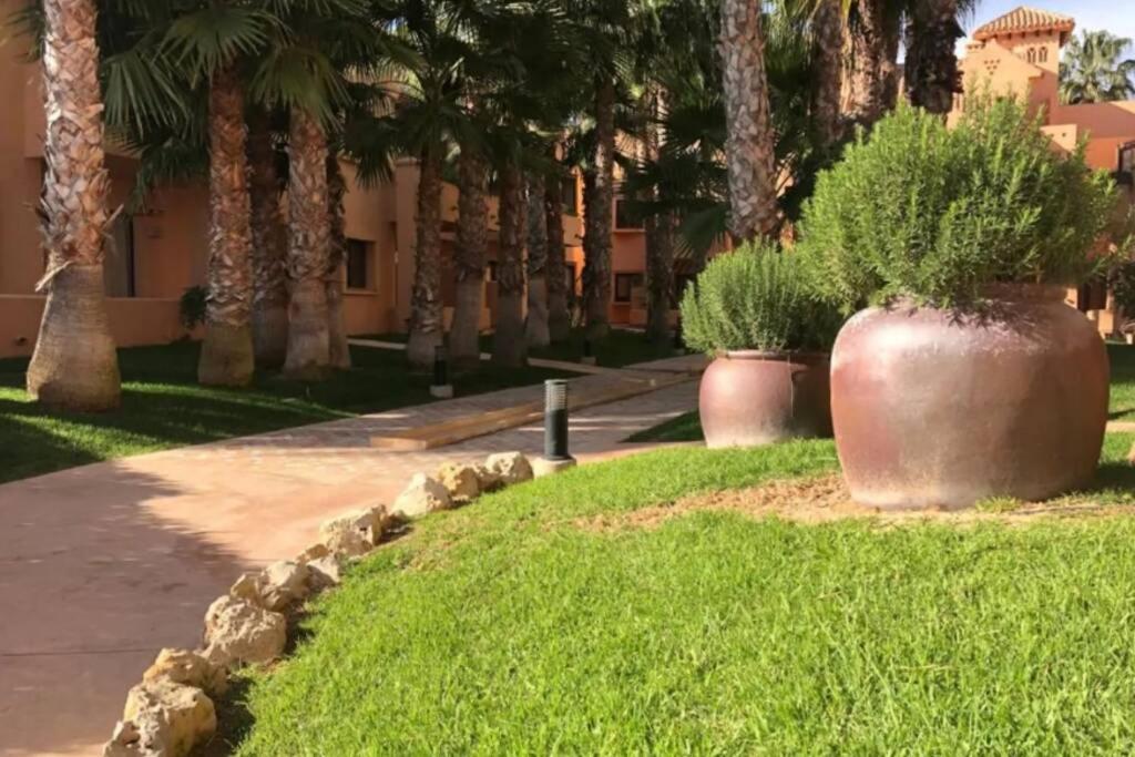 Lovely And Luxury In Front Of The Apartment *