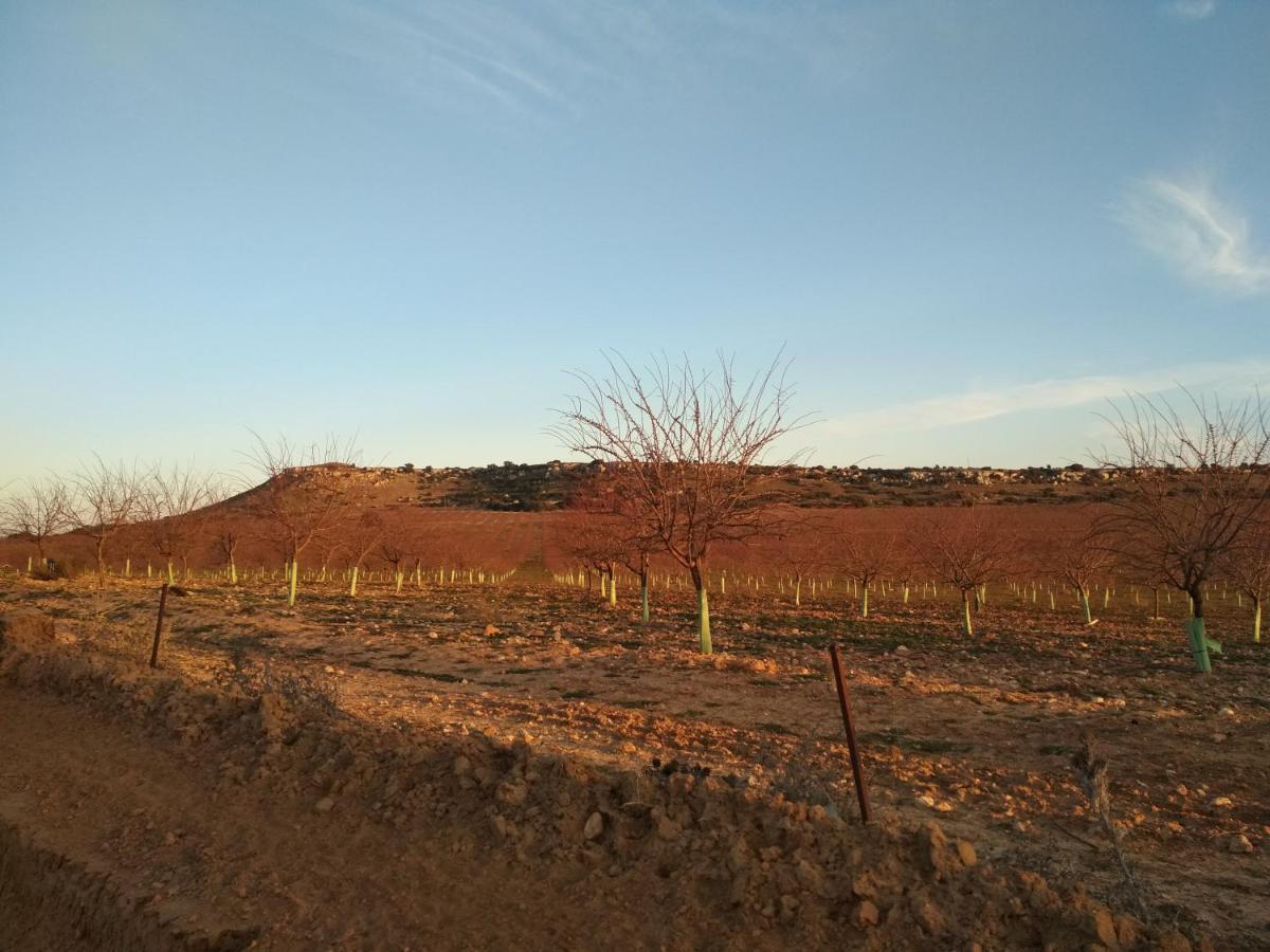 Holiday home La Galana Albacete Chinchilla de Monte Aragon