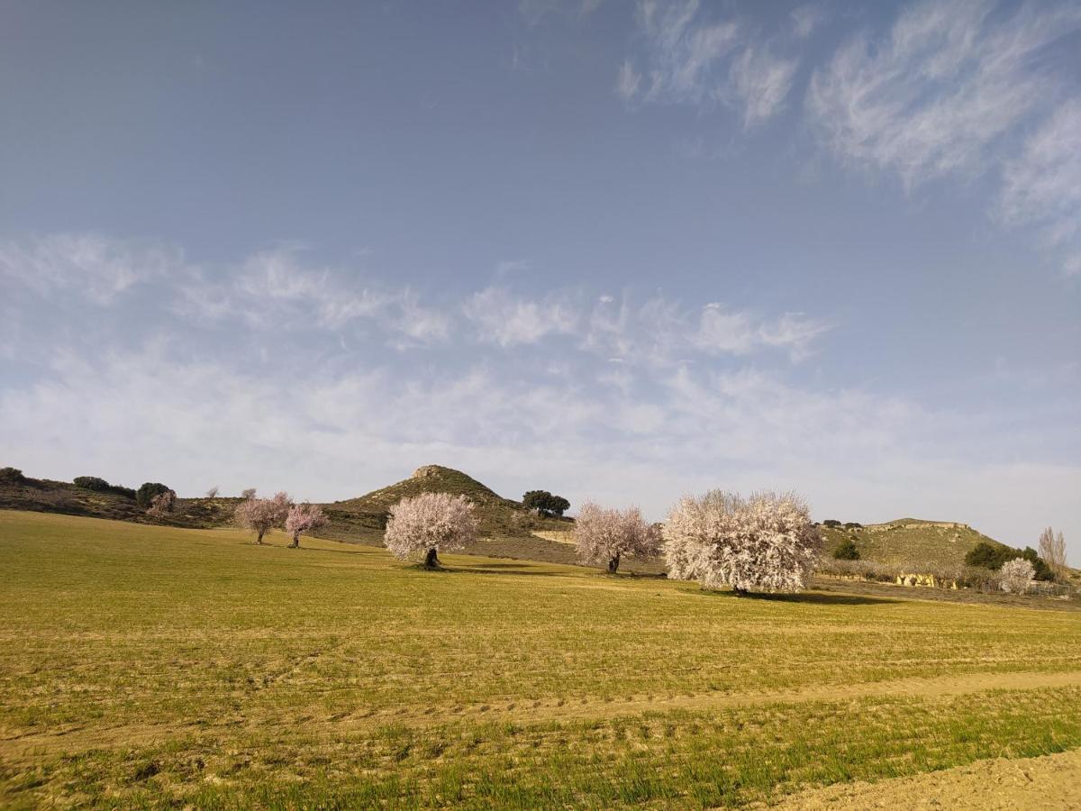 La Galana Albacete *