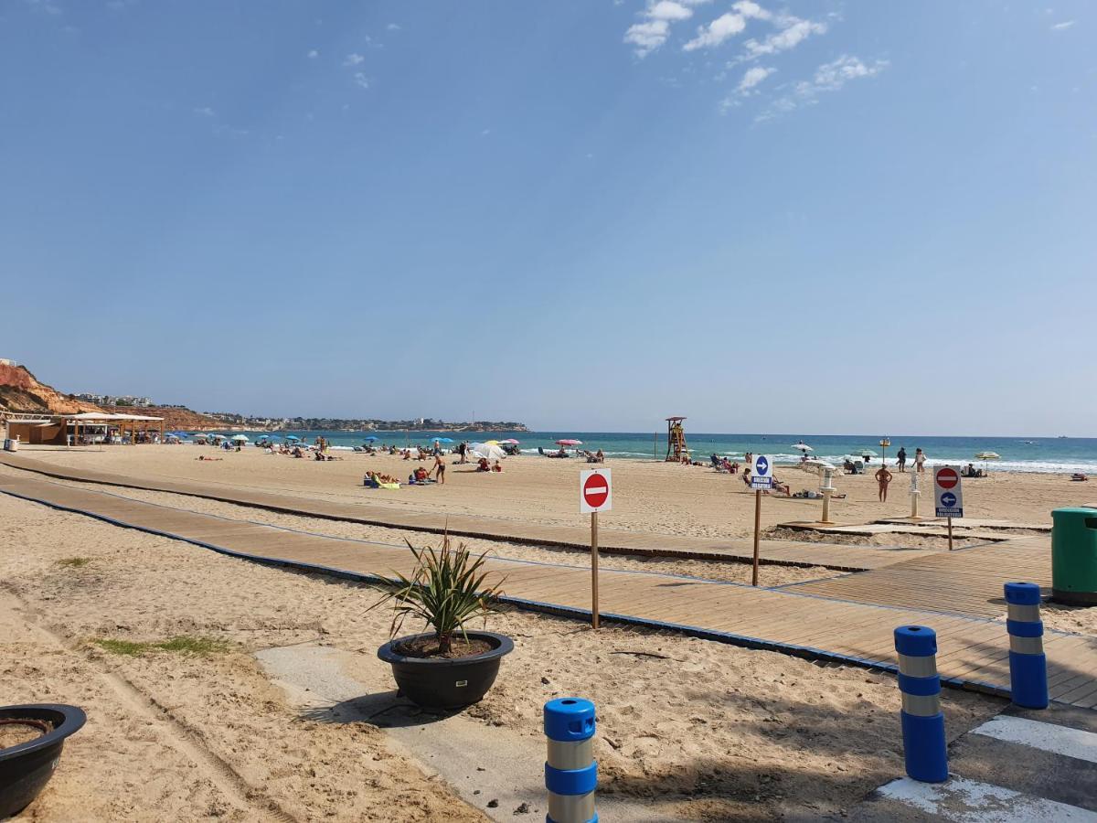 In Overlooking The Swimming Pool Apartment Campoamor