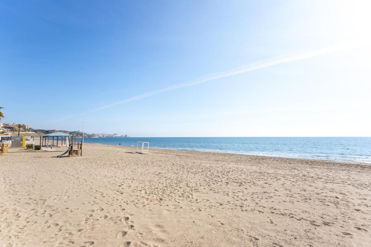 Higuerón Marítimo Romar C * Fuengirola