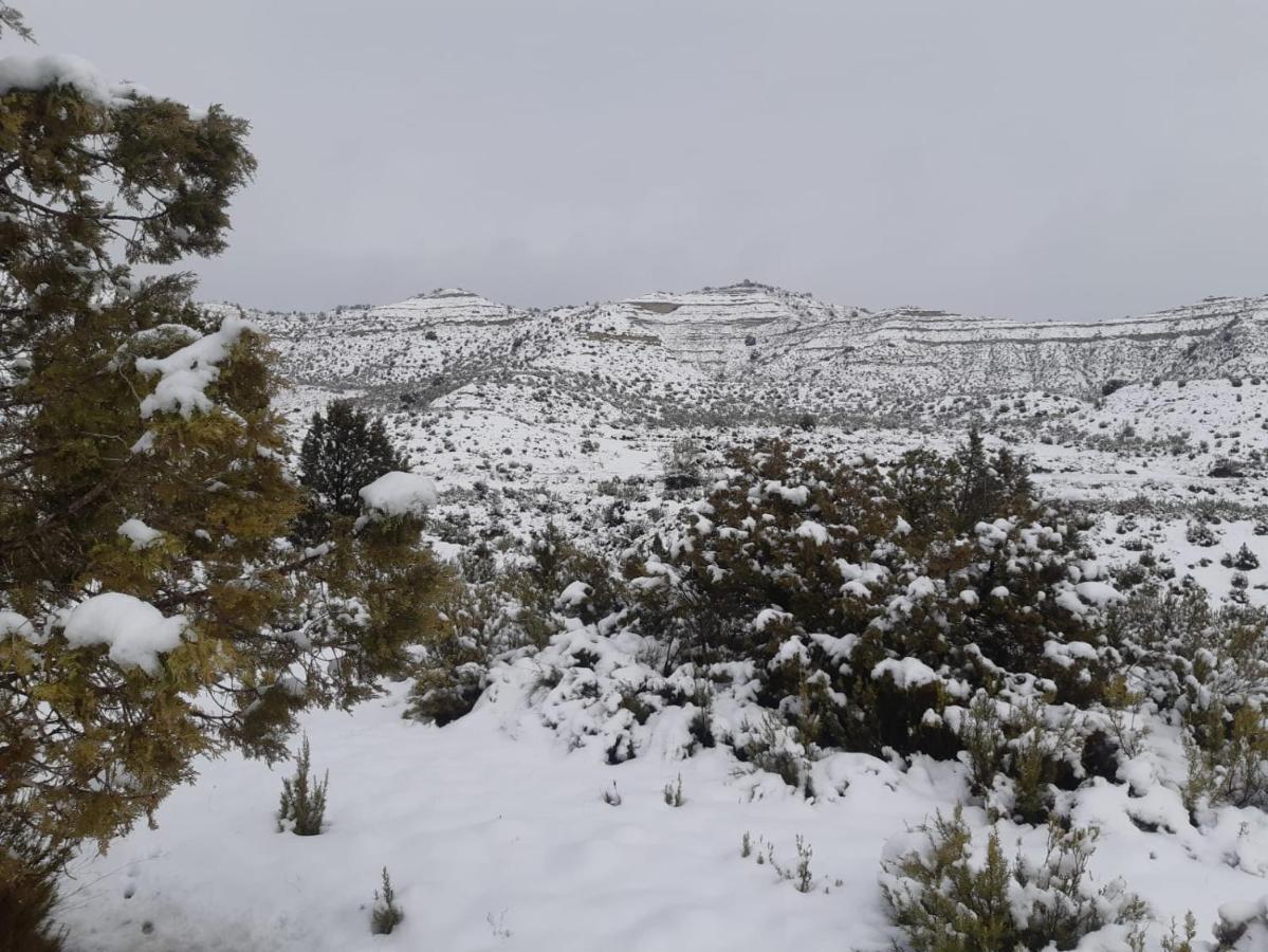 Amanece Monegrillo