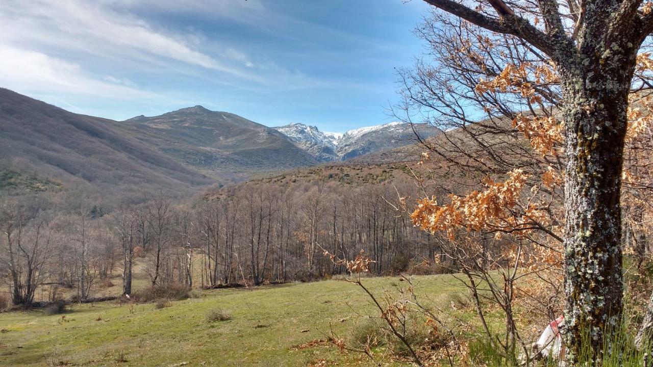 Al Patio Chalet