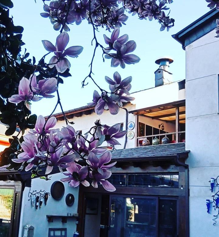 Hostal La Medina De Camponaraya