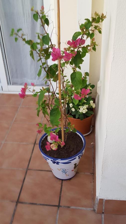 3 Bed To Rent In Mojacar, Spain. Apartment *