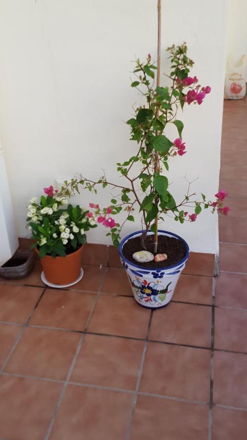 3 Bed To Rent In Mojacar, Spain. Mojacar