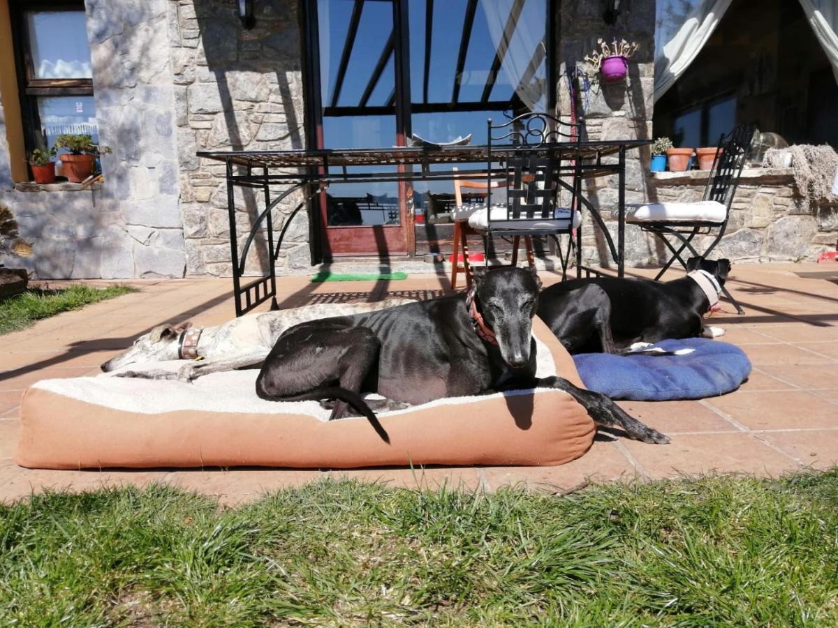 Casa Rous *