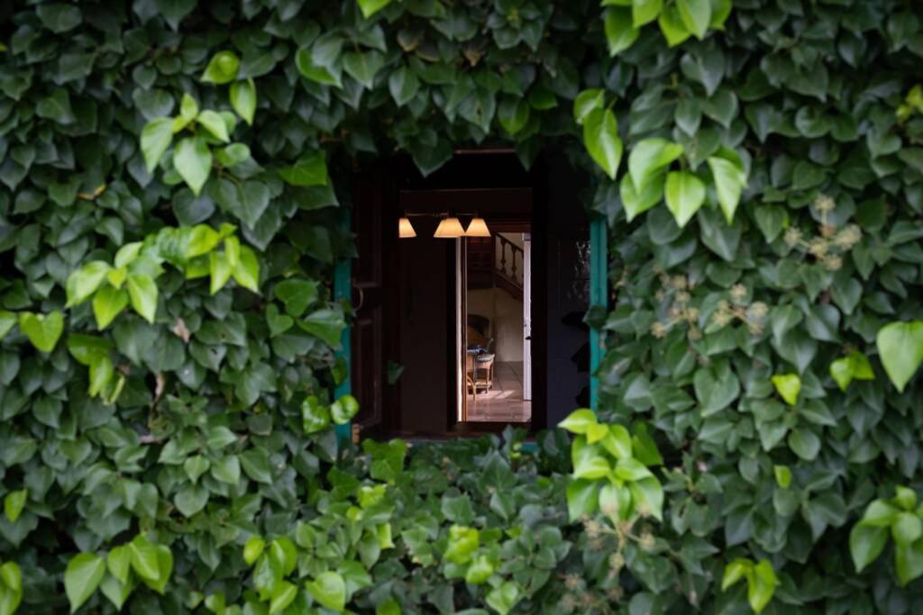 Casa El Barranco Сasa de vacaciones *