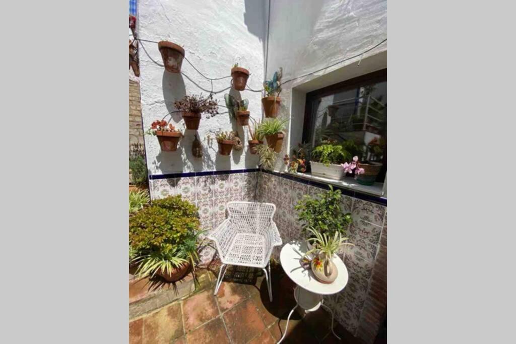 Apartamento Buddhaloungeapartments 3 Buddhaloungeapartments #3 Primera Planta *