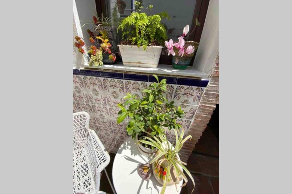 Buddhaloungeapartments 3 Buddhaloungeapartments #3 Primera Planta * Ronda