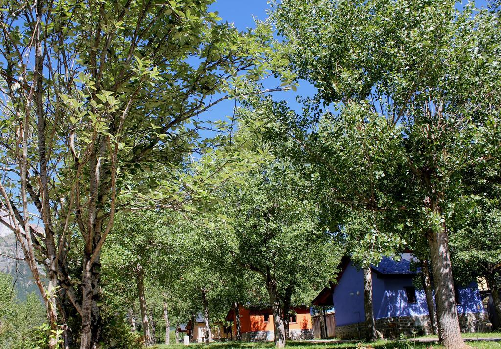Camping Camping Pineta *