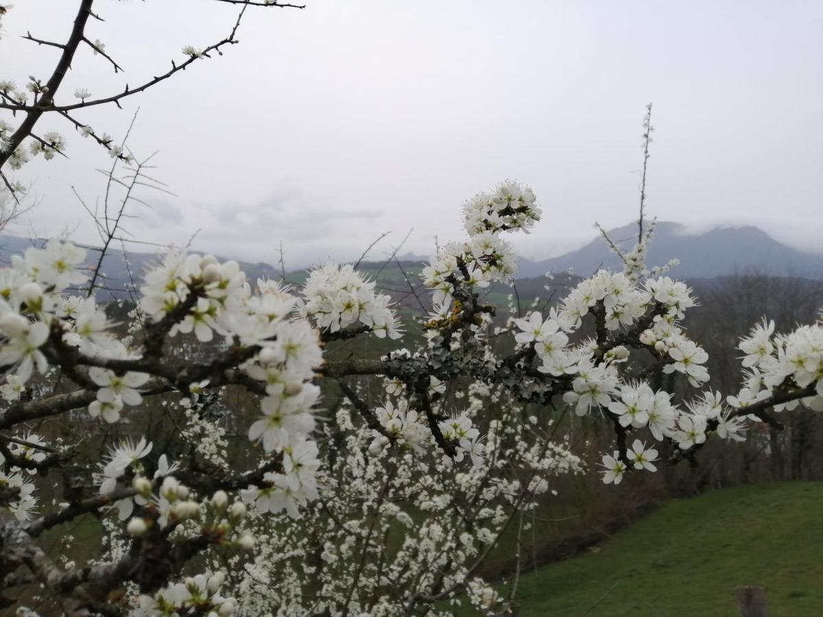 Argixti Casa rural *