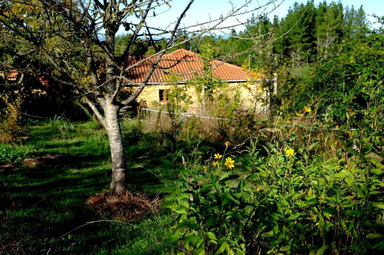 O Fogar Do Monte Guest house Sober