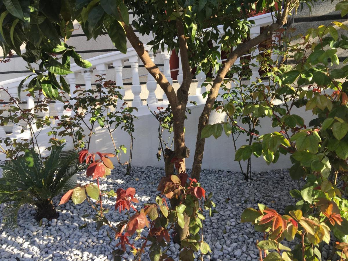 Hotel Torres I