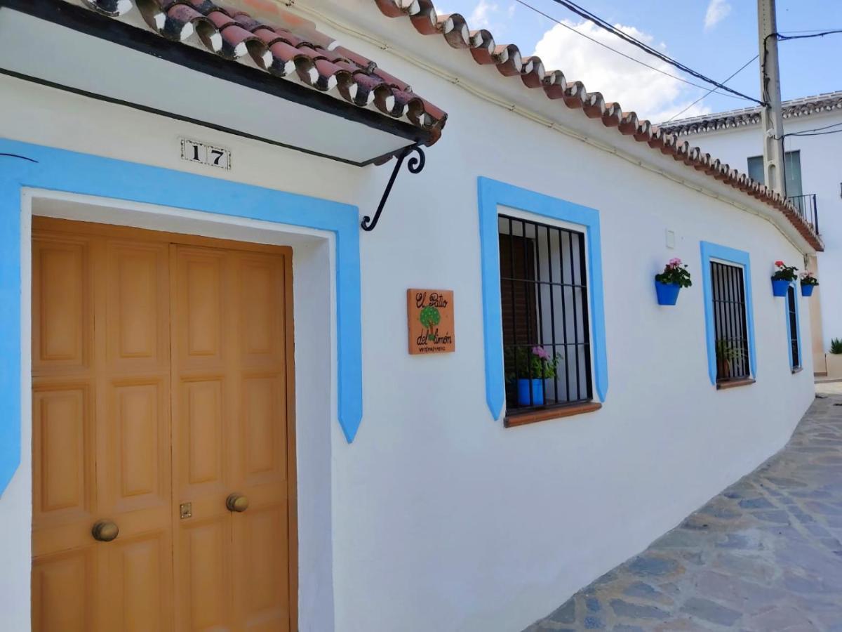 El Patio Del Limón