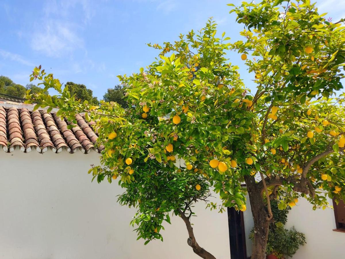 El Patio Del Limón Сasa de vacaciones *