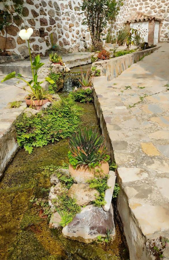 El Patio Del Limón Сasa de vacaciones