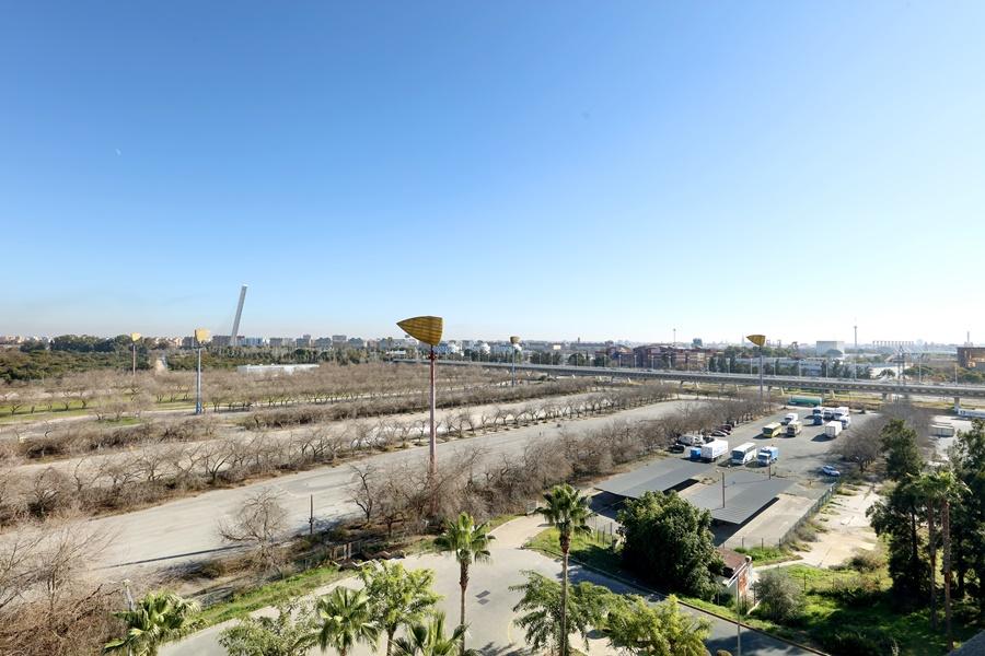 Exe Isla Cartuja 4*