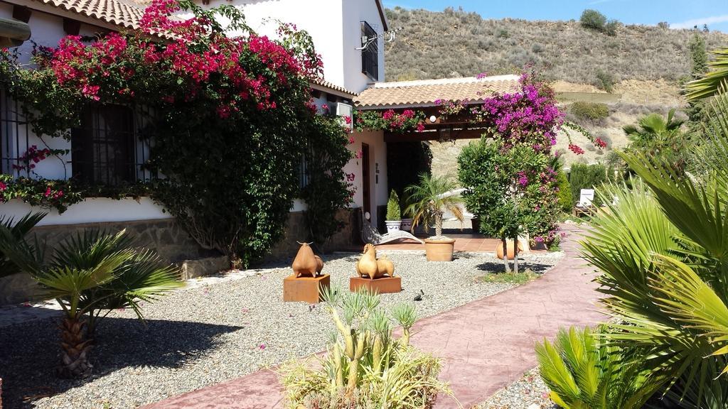 | Casa Don Carlos Bed & Breakfast *
