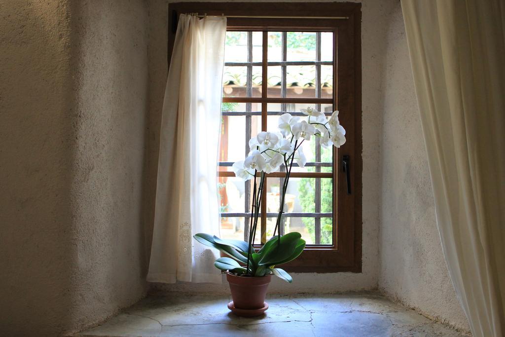 Casa De La Sal Pensión Candelario