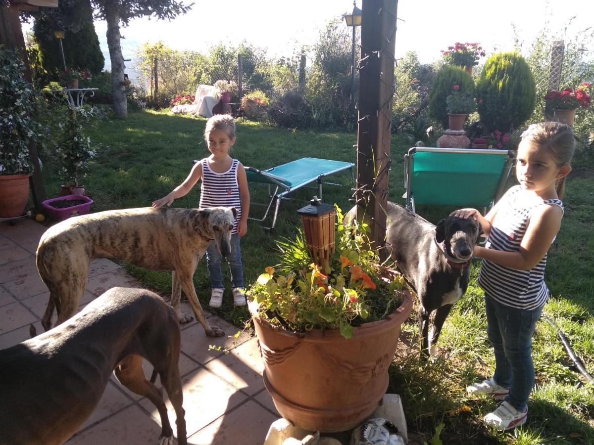 Casa Rous