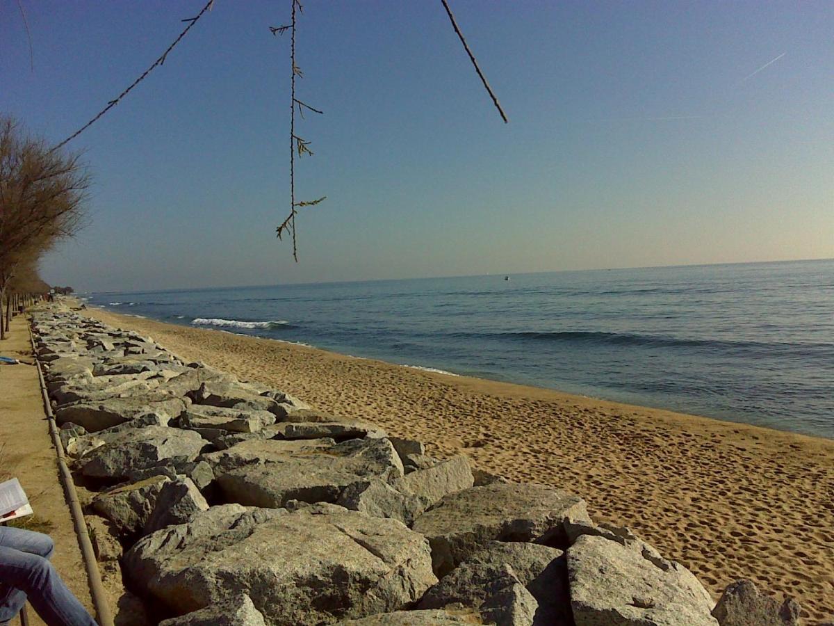 Tata's House, Junto Playa Y Barcelona Centro Apartamento El Masnou