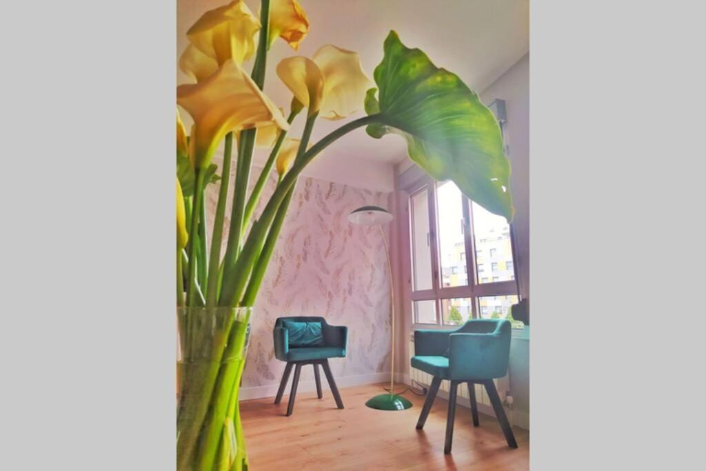 Lalosa Apartamento Oviedo