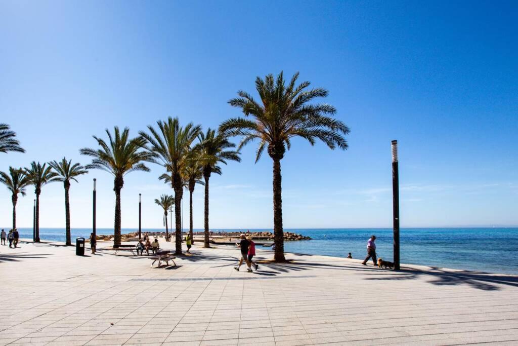 Ramon Gallud 204 Torrevieja