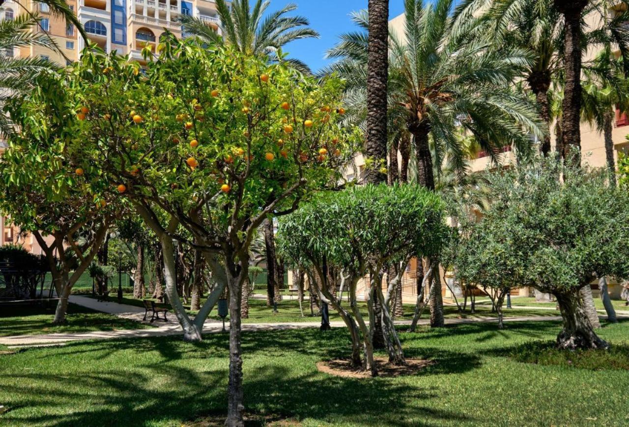 Casa Del Buho Apartamento