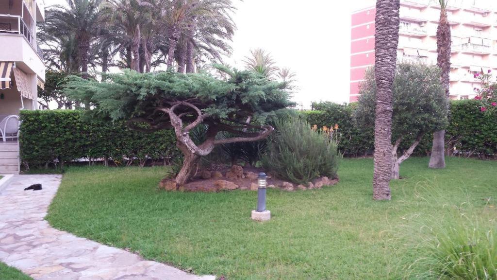 Casa Del Buho Torrevieja
