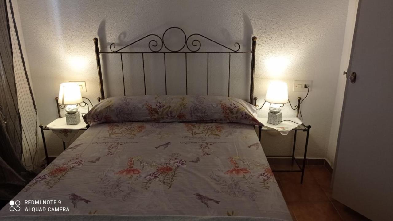Casa Del Buho *