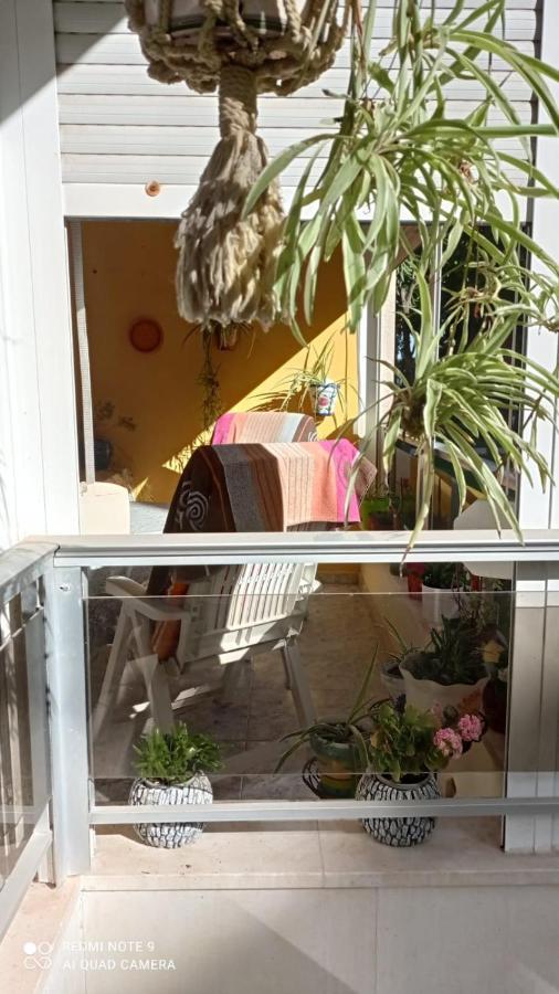 Casa Del Buho Apartamento