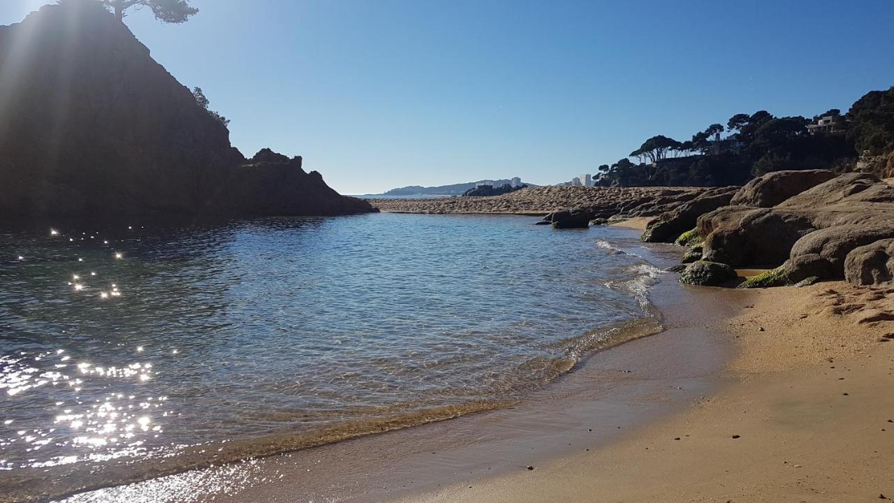 Junto Al Mar Con Jardin Comunitario Y Parking *