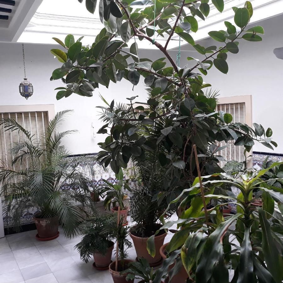 Apartamento Atico Soleado *