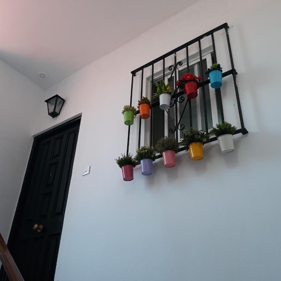 Apartamento Atico Soleado