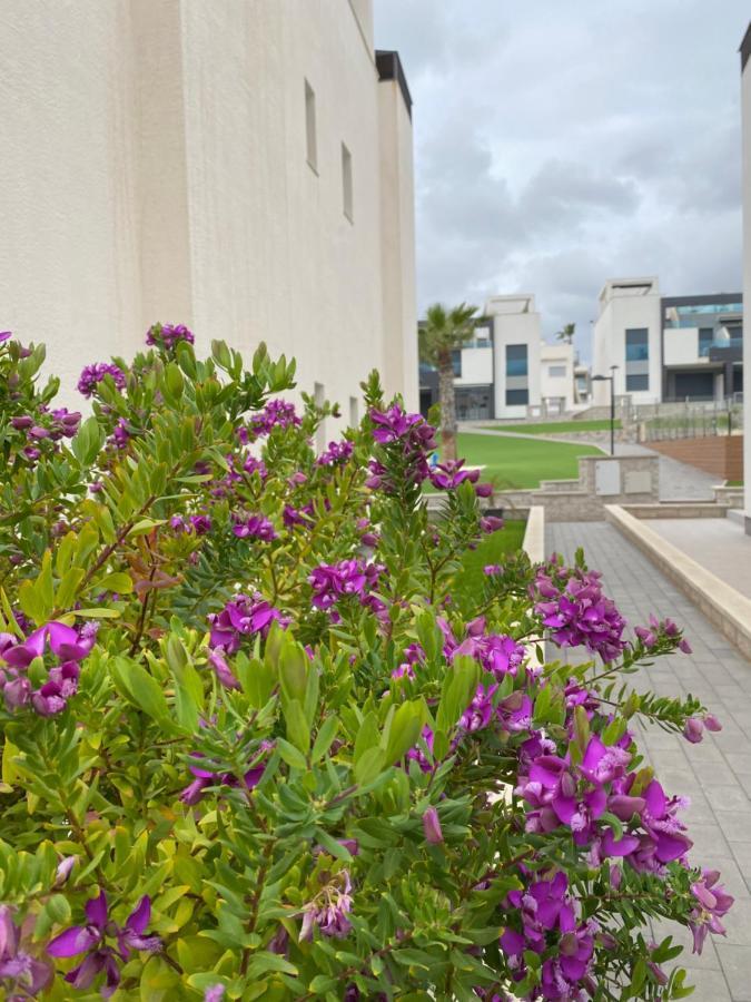 Oasis Apartamento Alicante