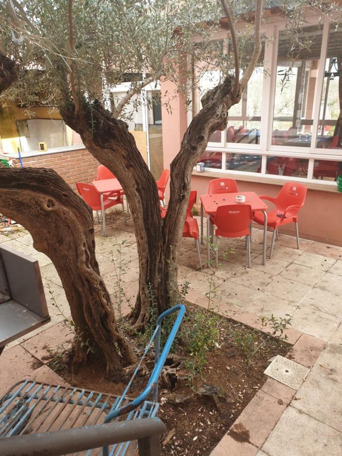 Pensión El MIRADOR DE ARBANCON Arbancon