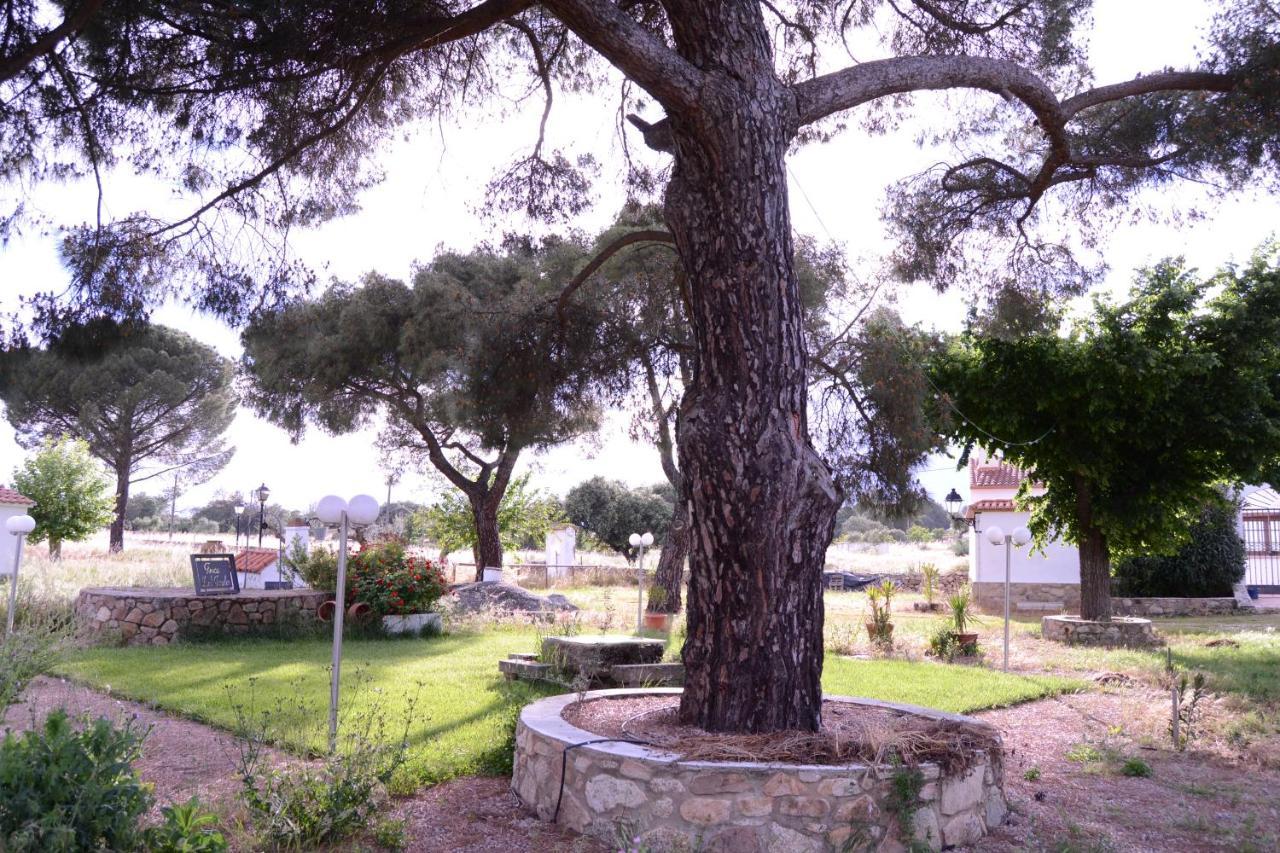 Jarales * Casar de Cáceres