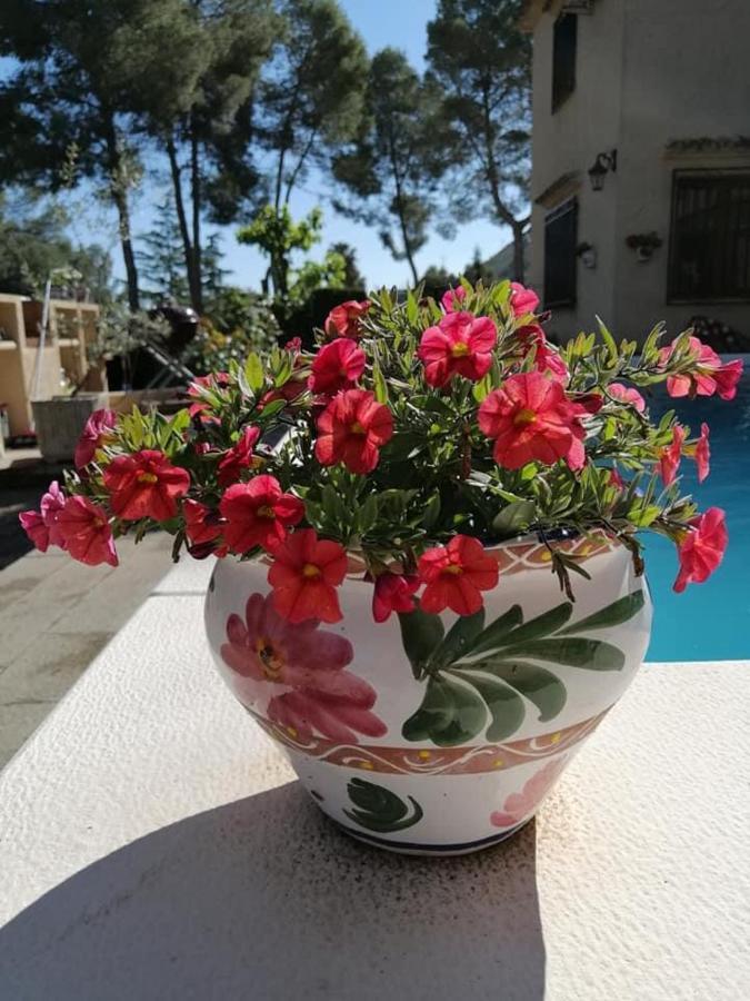 Bed and breakfast Casa Jetizo *